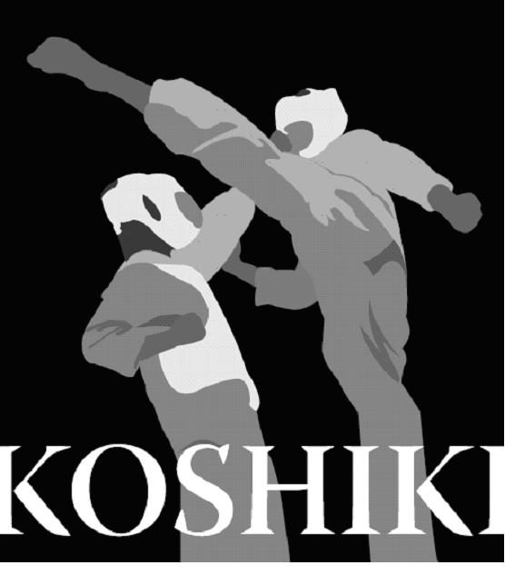 Tournoi Koshiki inter-dojo