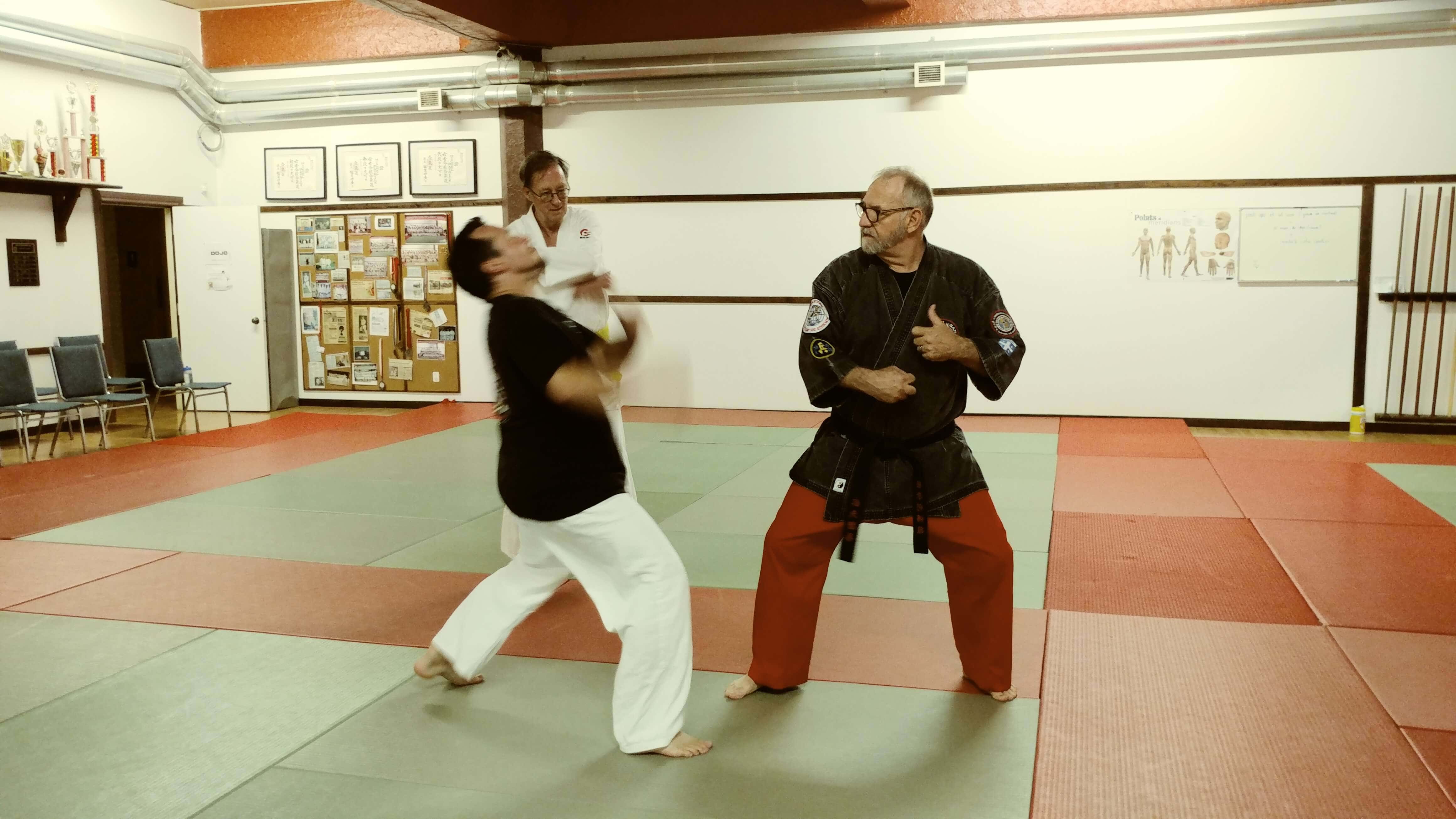 Maître Michel Fafard - Instructeur Autodéfense (Kung fu) San Soo