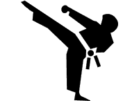 karate2